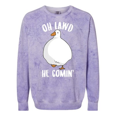 Oh Lawd He Comin Thicc Goose Meme Colorblast Crewneck Sweatshirt