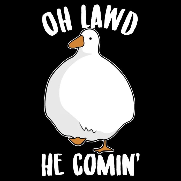 Oh Lawd He Comin Thicc Goose Meme Short Acrylic Beanie