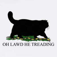 Oh Lawd He Treading Funny Cat Kids T-Shirt
