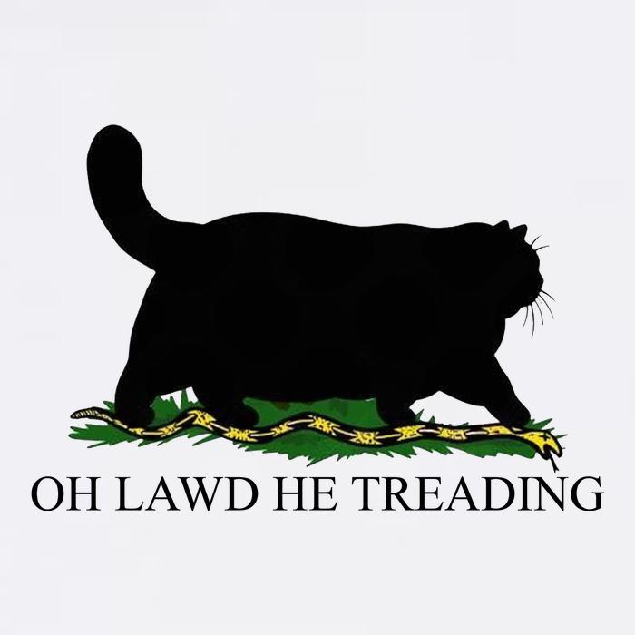 Oh Lawd He Treading Funny Cat Kids T-Shirt