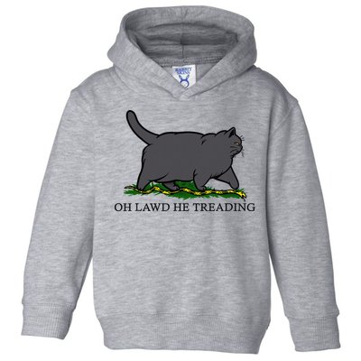 Oh Lawd He Treading Funny Fat Cat Toddler Hoodie