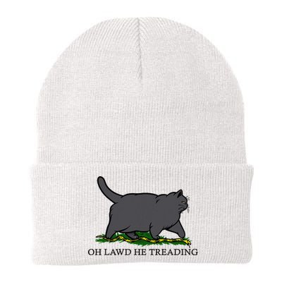 Oh Lawd He Treading Funny Fat Cat Beanie