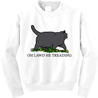Oh Lawd He Treading Funny Fat Cat Kids Sweatshirt