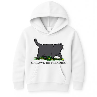 Oh Lawd He Treading Funny Fat Cat Kids Hoodie
