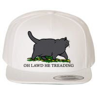 Oh Lawd He Treading Funny Fat Cat Wool Snapback Cap