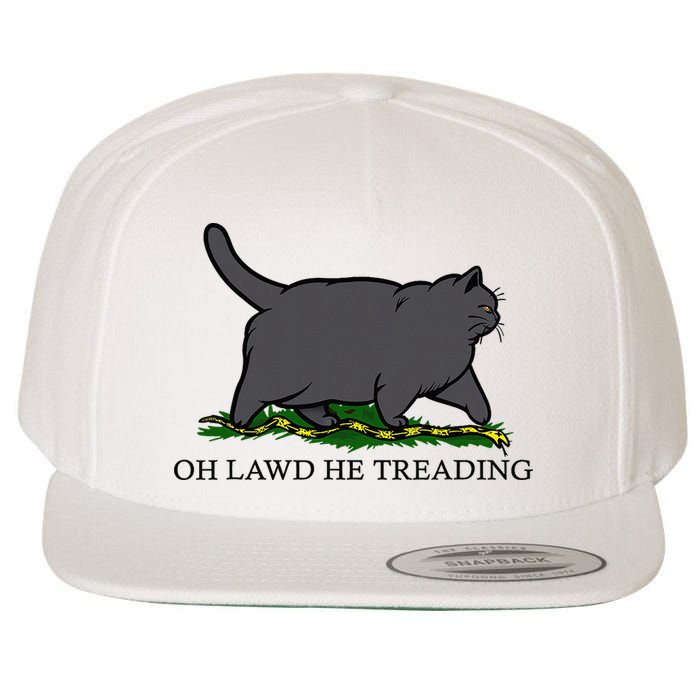Oh Lawd He Treading Funny Fat Cat Wool Snapback Cap