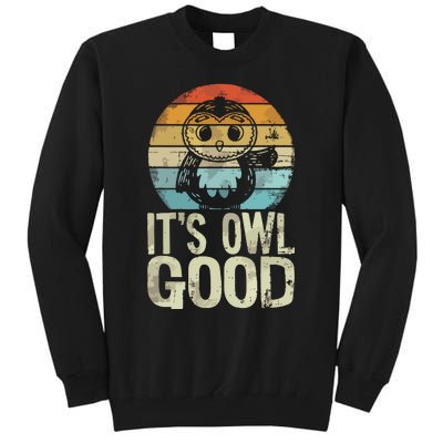 Owl Lover Its Owl Good Funny Owl Pun Tall Sweatshirt