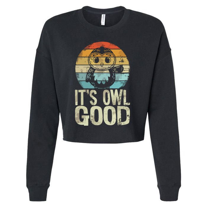 Owl Lover Its Owl Good Funny Owl Pun Cropped Pullover Crew