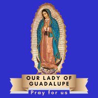 Our Lady Of Guadalupe Mary Catholic Religious Gift 16 in Basic Backpack