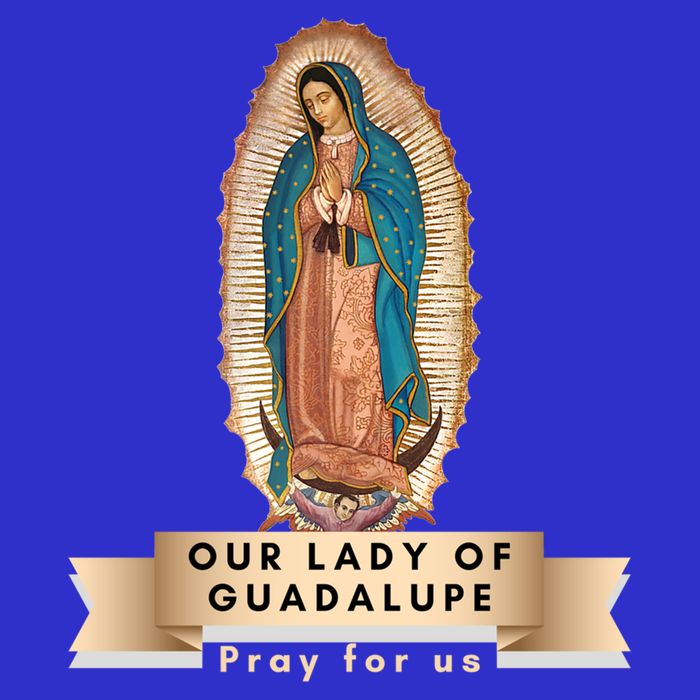 Our Lady Of Guadalupe Mary Catholic Religious Gift 16 in Basic Backpack