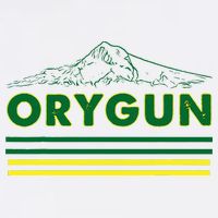 Oregon Lovers Orygun Outdoors Beautiful Mt. Hood Kids Hoodie