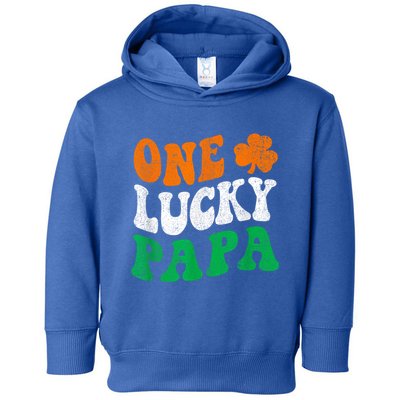 One Lucky Papa Retro Irish Flag Matching St Patricks Day Toddler Hoodie