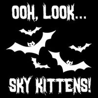 OOh Look... Sky Kittens Funny Drawstring Bag