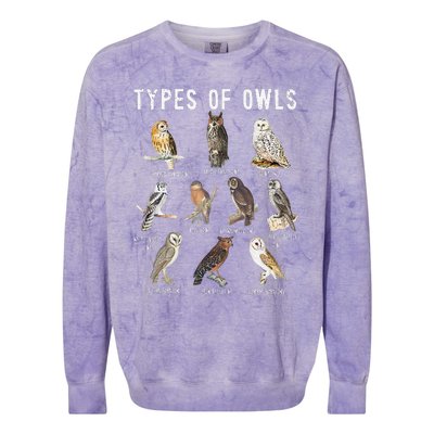 Owl Lover Types Of Owls Owls Of World Owl Colorblast Crewneck Sweatshirt