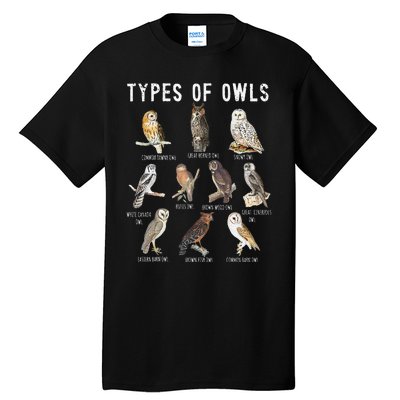 Owl Lover Types Of Owls Owls Of World Owl Tall T-Shirt