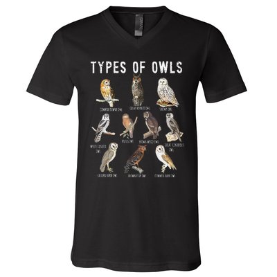 Owl Lover Types Of Owls Owls Of World Owl V-Neck T-Shirt