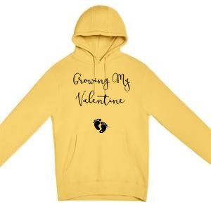 Our Little Valentine Valentines Day Pregnancy Announcet Gift Premium Pullover Hoodie