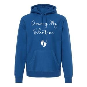 Our Little Valentine Valentines Day Pregnancy Announcet Gift Premium Hoodie