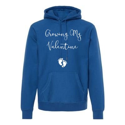 Our Little Valentine Valentines Day Pregnancy Announcet Gift Premium Hoodie