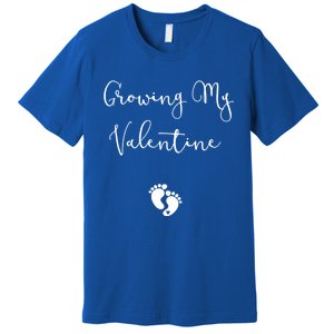 Our Little Valentine Valentines Day Pregnancy Announcet Gift Premium T-Shirt