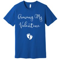 Our Little Valentine Valentines Day Pregnancy Announcet Gift Premium T-Shirt