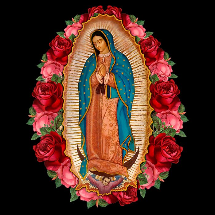 Our Lady Virgen De Guadalupe Virgin Mary Gracias Madre V-Neck T-Shirt