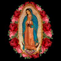 Our Lady Virgen De Guadalupe Virgin Mary Gracias Madre Flatbill Hat