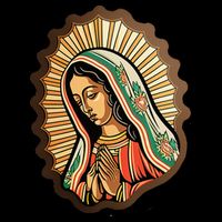 Our Lady Virgen De Guadalupe Mexico Religious 16 in Basic Backpack
