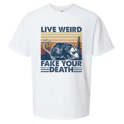 Opossum Live Weird Fake Your Death Vintage Sueded Cloud Jersey T-Shirt