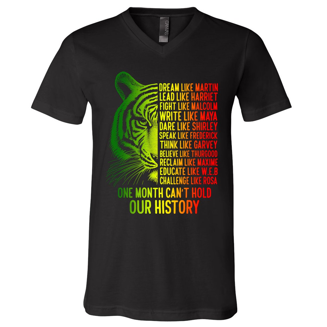 One Month Cant Hold Out History African American Pride V-Neck T-Shirt