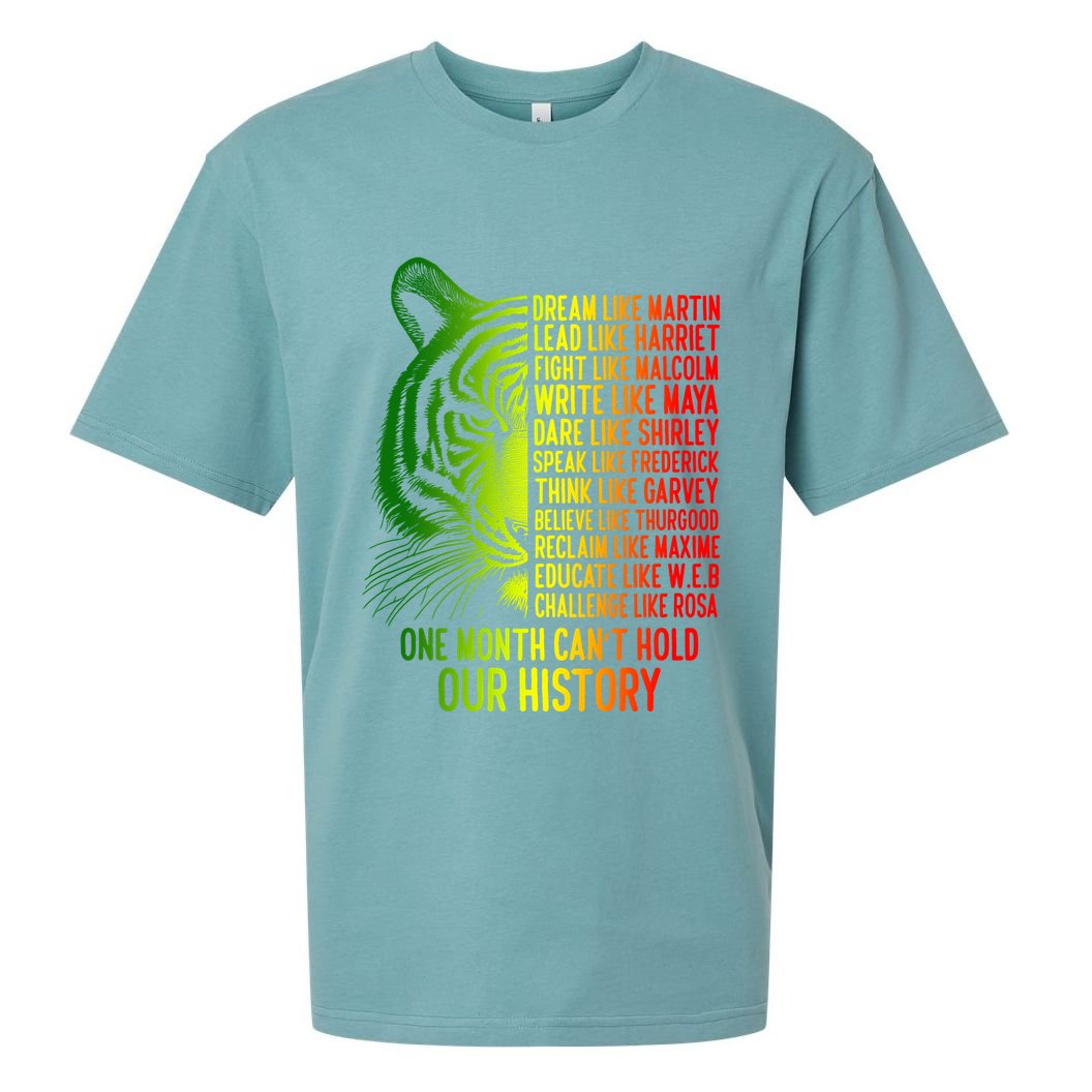 One Month Cant Hold Out History African American Pride Sueded Cloud Jersey T-Shirt