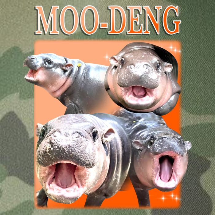 Orange Moo Deng Meme Hippo Legacy Tie Dye Trucker Hat