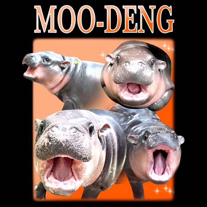 Orange Moo Deng Meme Hippo Apron