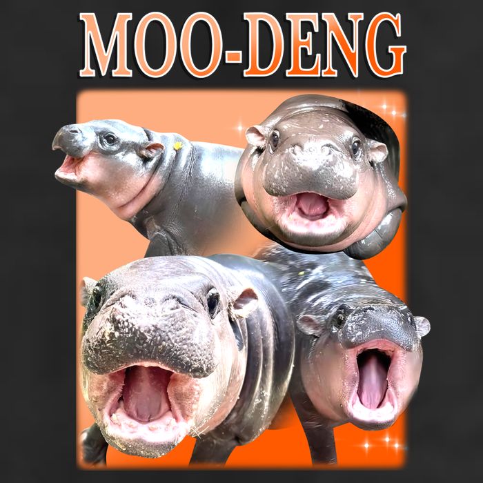 Orange Moo Deng Meme Hippo Adult Drive Performance Visor
