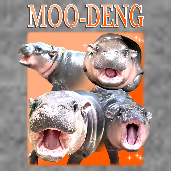 Orange Moo Deng Meme Hippo Toddler T-Shirt