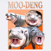 Orange Moo Deng Meme Hippo Garment-Dyed Sweatshirt