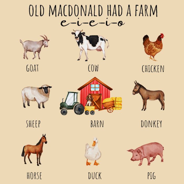Old Macdonald Had A Farm E I E I O Nursery Song Drawstring Bag