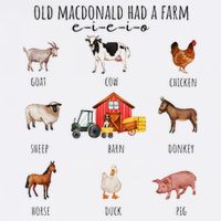 Old Macdonald Had A Farm E I E I O Nursery Song Flatbill Hat