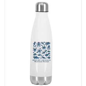 Ocean Marine Life Collection Sea Life Lover Stainless Steel Insulated Water Bottle