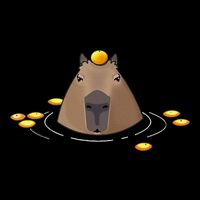Oranges Meme Lover Capybara Drawstring Bag
