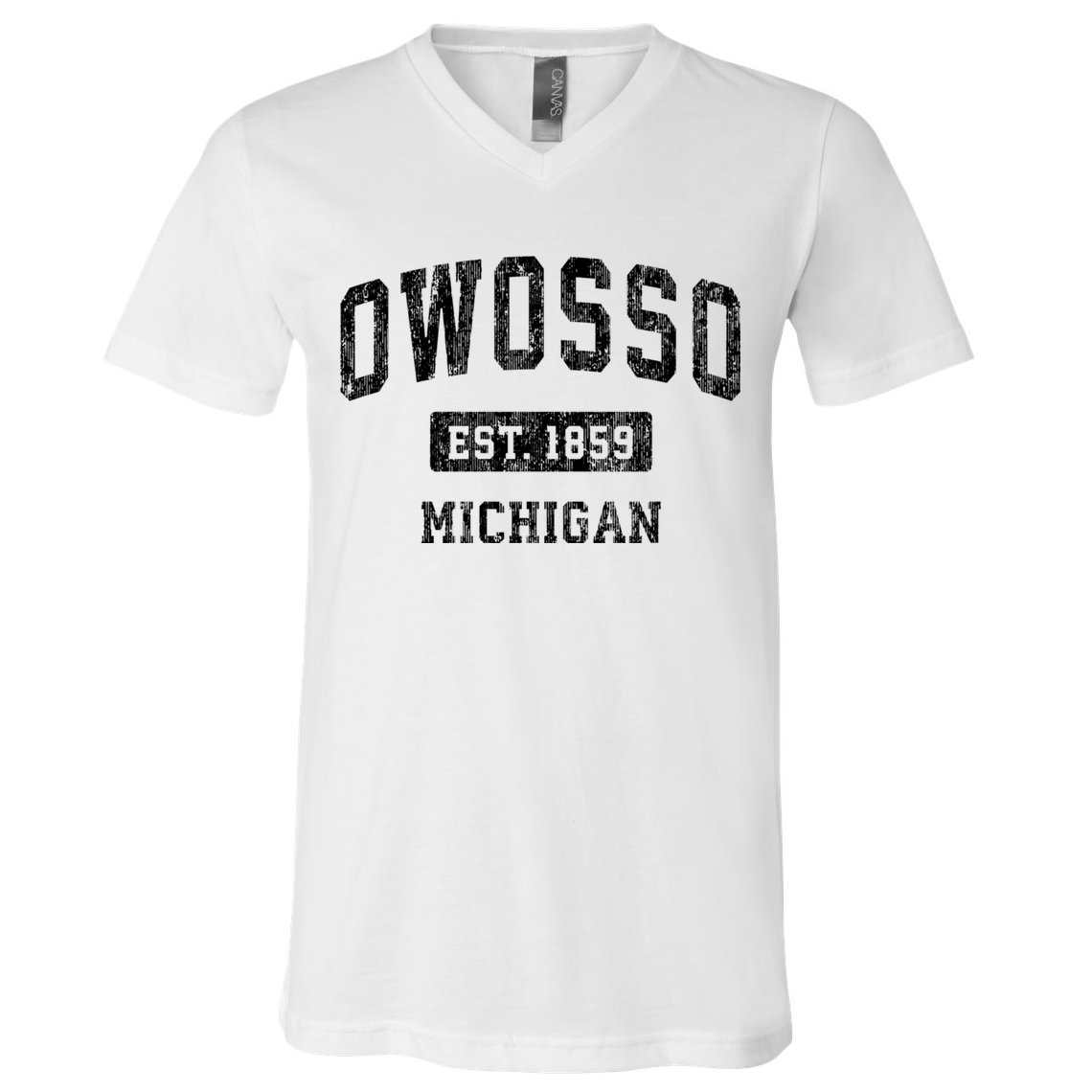Owosso Michigan Mi Vintage Sports Established Design V-Neck T-Shirt