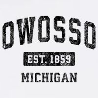 Owosso Michigan Mi Vintage Sports Established Design Mug