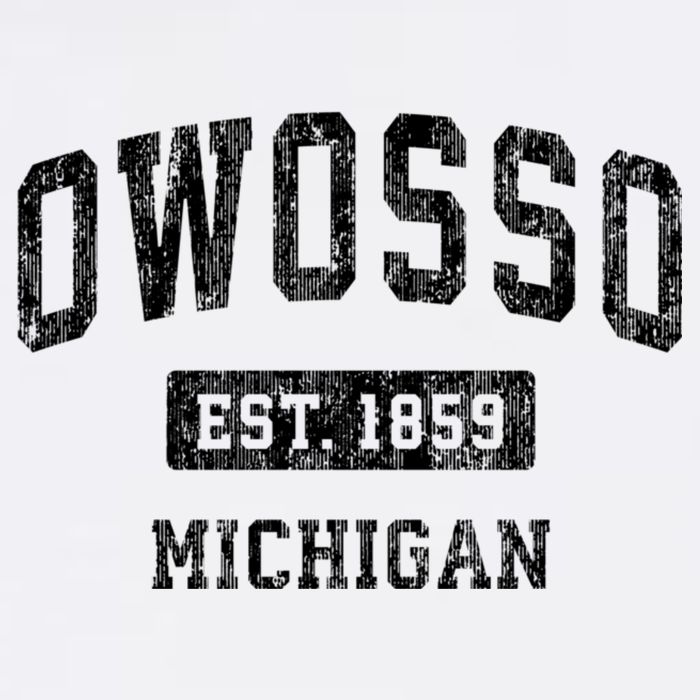 Owosso Michigan Mi Vintage Sports Established Design Mug
