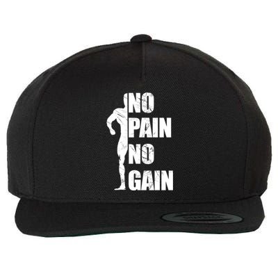 Original Motivation No Pain No Gain Gym Funny Gift Meaningful Gift Wool Snapback Cap