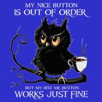 Owl My Nice Button Is Out Of Order But My Bite Me Button Baby Bodysuit