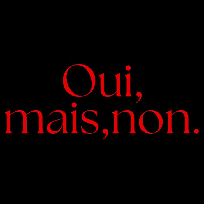 Oui Mais Non Funny French Yes But No Flexfit Unipanel Trucker Cap