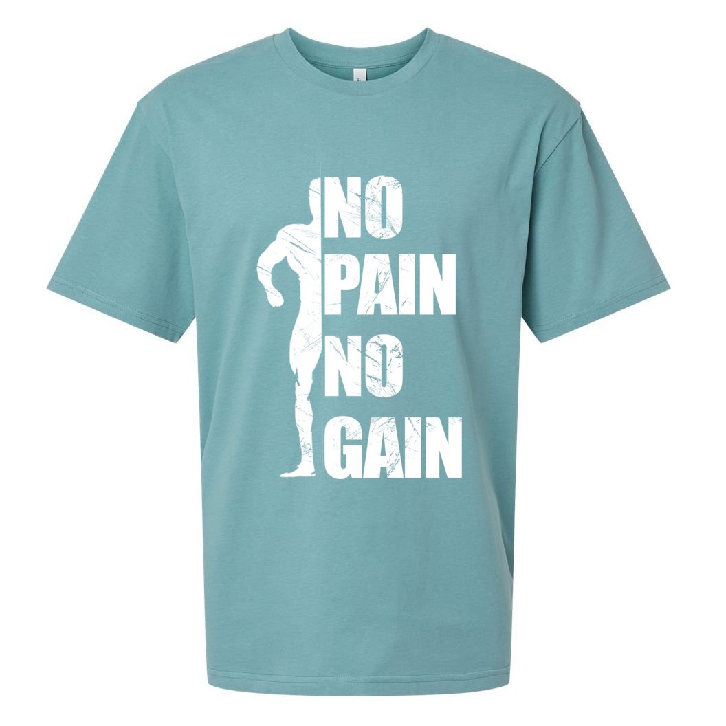 Original Motivation No Pain No Gain Gym Gift Sueded Cloud Jersey T-Shirt