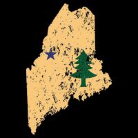 Original Maine State Flag Retro Northern New England Dirigo Tall T-Shirt
