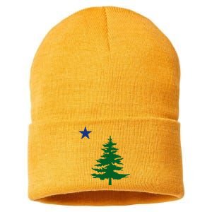 Old Maine State Flag 1901 Pine Tree Star Sustainable Knit Beanie