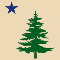 Old Maine State Flag 1901 Pine Tree Star Drawstring Bag